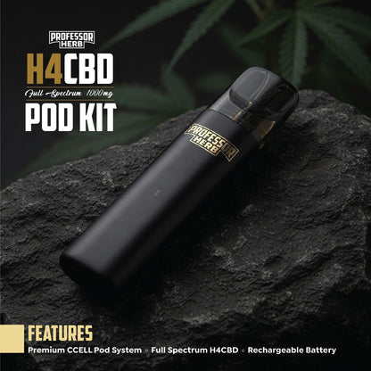 Professor Herb H4CBD Pod Kit on a dark rock with cannabis leaves in the background