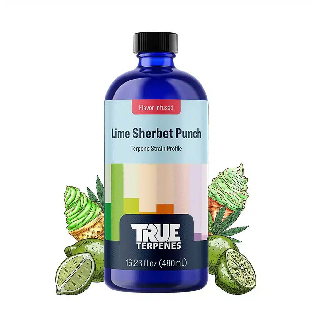 True Terpenes Flavour Infused: Lime Sherbet Punch (30ml)