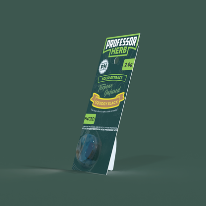 Professor Herb H4CBD Solid Extract 2.0g - Squidgy Black